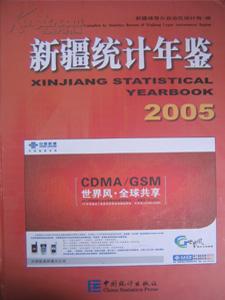 新疆中国统计出版社